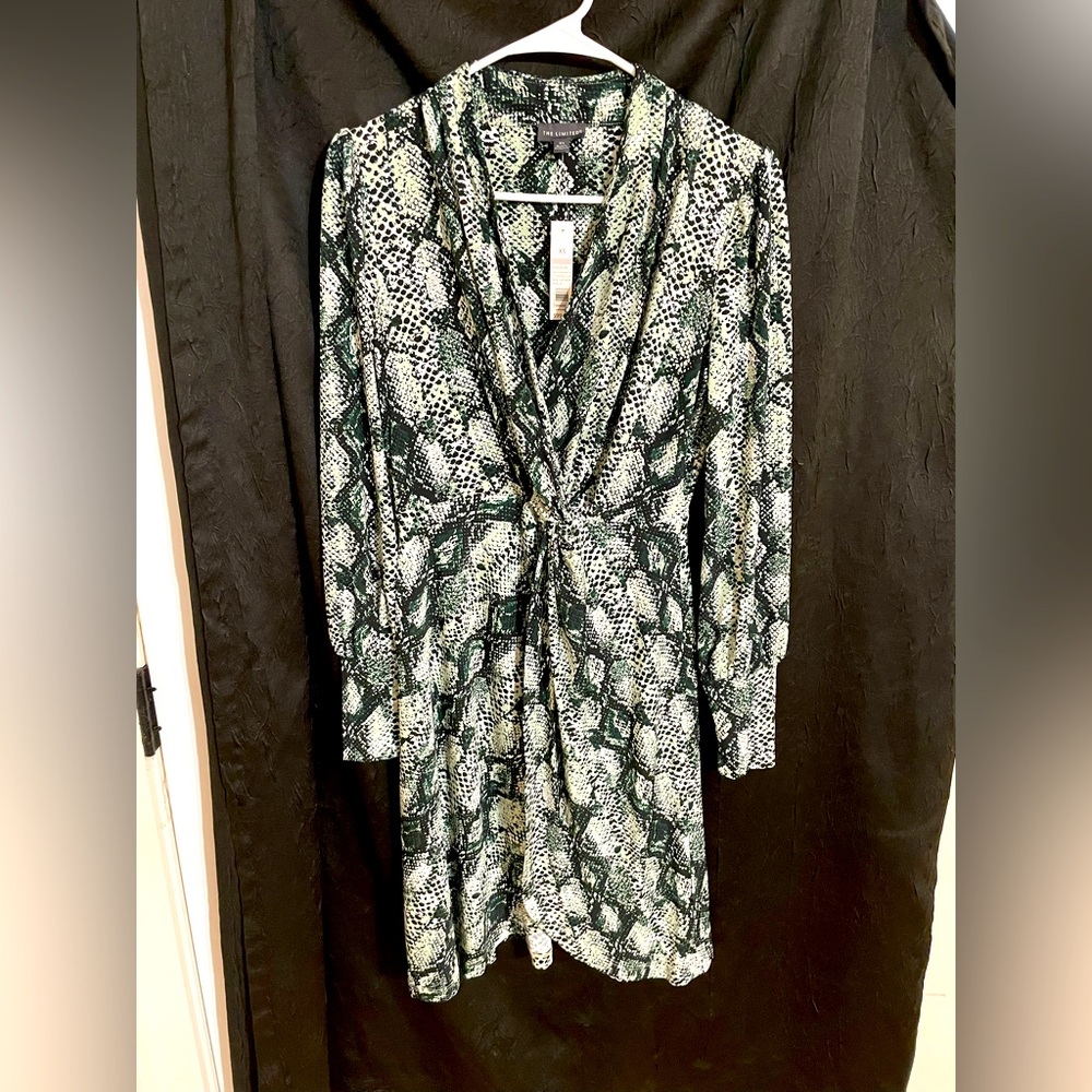 Snakeskin Print Mini Dress